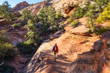 Zion national park için yapılan zammı