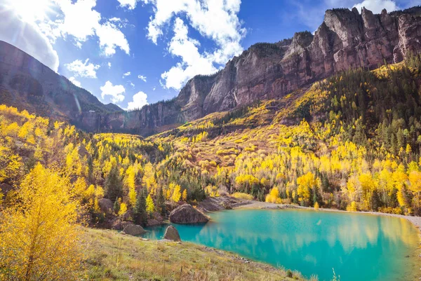 Colorful Yellow Autumn Colorado United States Fall Season — Stock Photo, Image