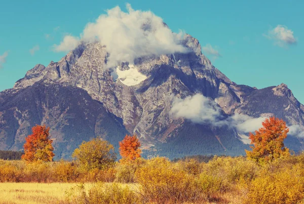 Jasné Barvy Podzimní Sezóny Grand Teton National Park Wyoming Usa — Stock fotografie