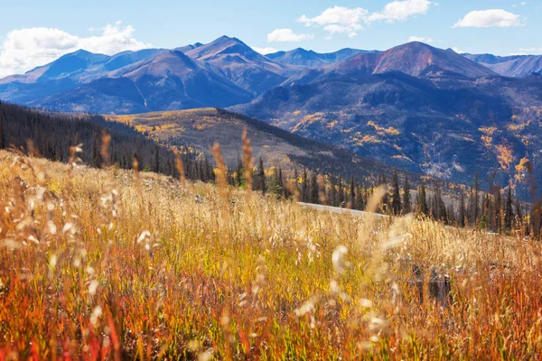 日当たりの良い秋の草原自然風光明媚なビュー — ストック写真