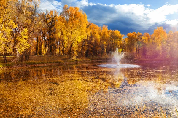 Autumn Scene Yellow Tones — Stock Photo, Image