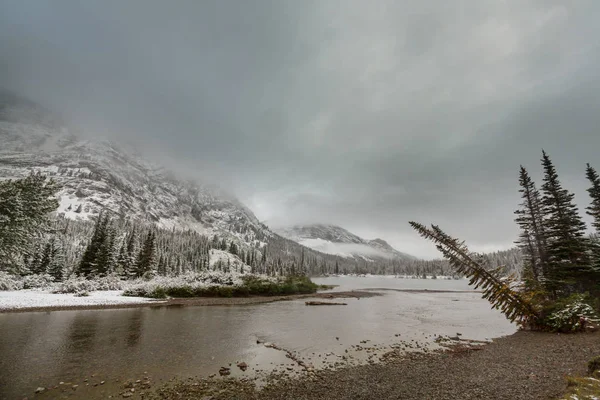 Wczesną Zimą Pierwszy Śnieg Pokrywające Skały Las Glacier National Park — Zdjęcie stockowe
