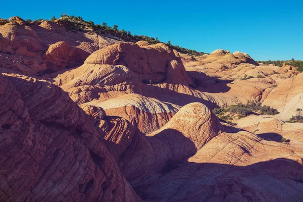 Sandstensformationer Utah Usa Fladdermöss — Stockfoto