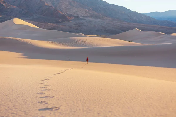 Πεζοπόρος Ανάμεσα Αμμόλοφους Στην Έρημο — Φωτογραφία Αρχείου