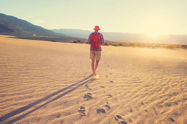 Wanderer Zwischen Sanddünen Der Wüste — Stockfoto