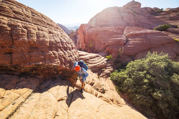 Caminhante Nas Montanhas Utah — Fotografia de Stock