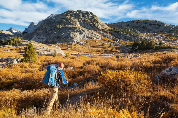 Πεζοπόρος Στο Wind River Φάσμα Στο Ουαϊόμινγκ Usa Φθινόπωρο Σεζόν — Φωτογραφία Αρχείου