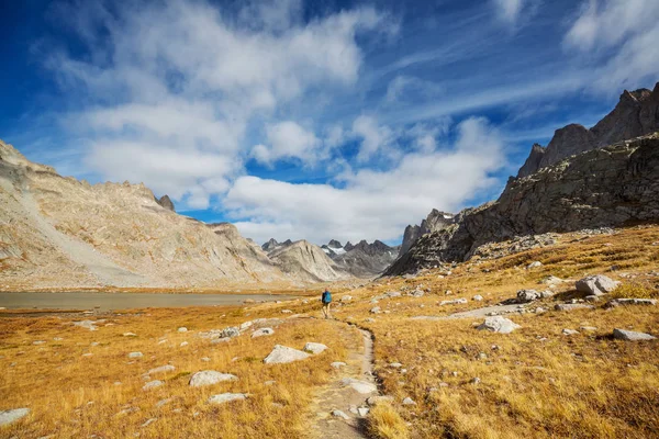 Randonneur Dans Wind River Range Dans Wyoming États Unis Saison — Photo