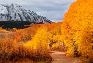 Colorado, ABD 'de renkli bir sonbahar. Sonbahar sezonu.