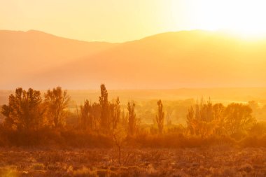 Sierra Nevada Dağı 'nın manzarası. Sonbahar yaprakları. Kaliforniya, ABD.
