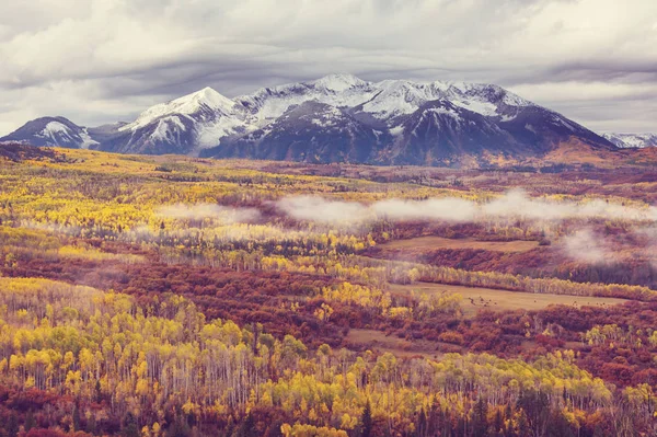 Automne Jaune Coloré Dans Colorado États Unis Saison Automne — Photo