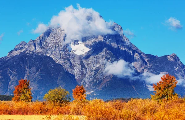 Jasné Barvy Podzimní Sezóny Grand Teton National Park Wyoming Usa — Stock fotografie