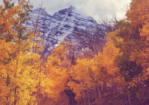 Färgglad Gul Höst Colorado Usa Höstsäsong — Stockfoto