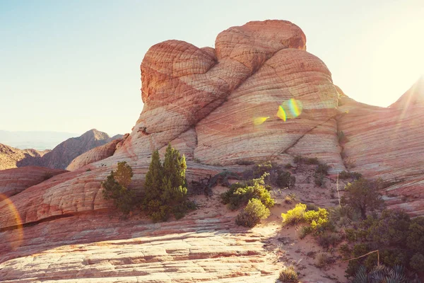 ユタ州での砂岩の形成 ヤント フラット — ストック写真