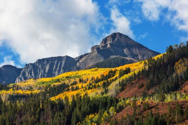 Colorado, ABD 'de renkli bir sonbahar. Sonbahar sezonu.