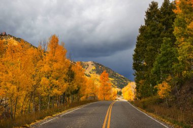 Colorado, ABD 'de renkli bir sonbahar. Sonbahar sezonu.