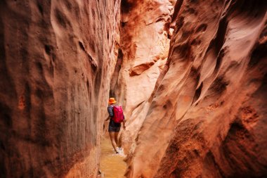 Utah, ABD 'deki Grand Staircase Escalante Ulusal Parkı' ndaki Slot Kanyonu. Utah çöllerinde alışılmadık renkli kumtaşı oluşumları yürüyüşçüler için popülerdir..