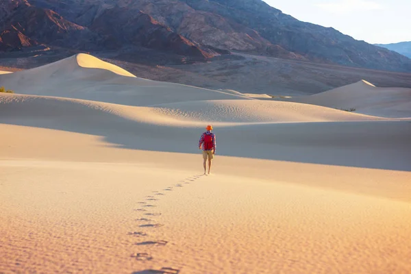 Randonneur Parmi Les Dunes Sable Dans Désert — Photo