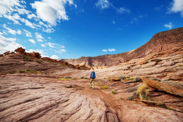 Caminhada Nas Montanhas Utah — Fotografia de Stock