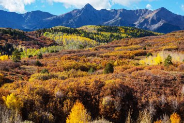 Colorado, ABD 'de renkli bir sonbahar. Sonbahar sezonu.