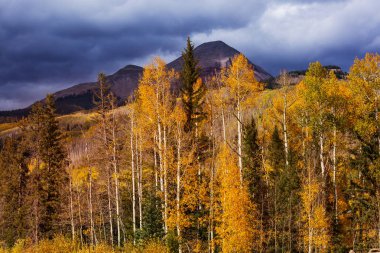 Colorado, ABD 'de renkli bir sonbahar. Sonbahar sezonu.