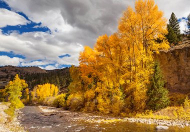 Colorado, ABD 'de renkli bir sonbahar. Sonbahar sezonu.