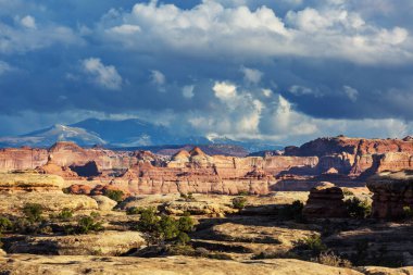 Canyonlands Ulusal Parkı 'nda yürüyüş, Utah, ABD.