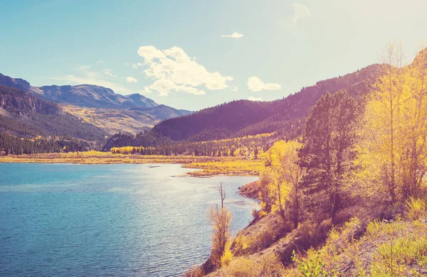 Farbenfroher Gelber Herbst Colorado Usa Herbstsaison — Stockfoto