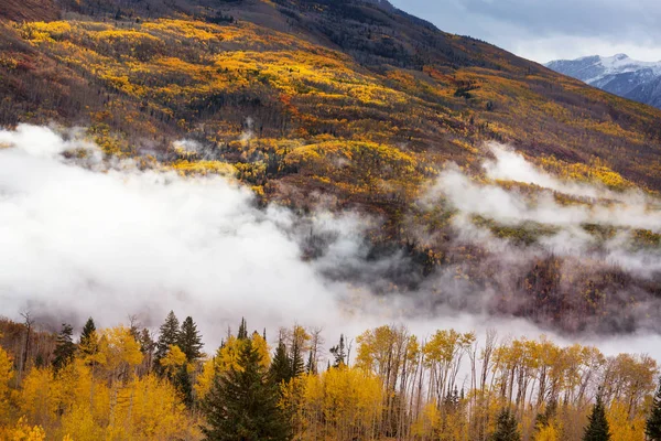 Färgglad Gul Höst Colorado Usa Höstsäsong — Stockfoto