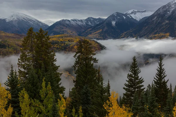 Outono Amarelo Colorido Colorado Estados Unidos Temporada Outono — Fotografia de Stock