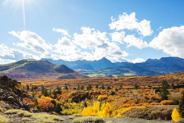 Colorful Yellow Autumn Colorado United States Fall Season — Stock Photo, Image