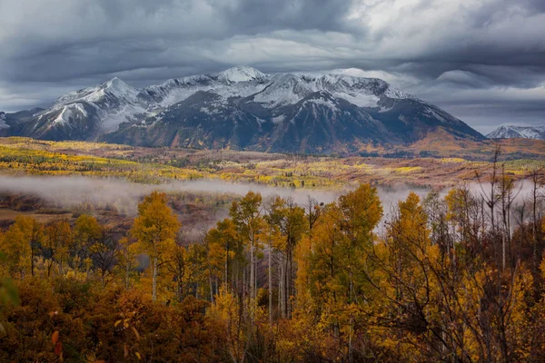 Automne Jaune Coloré Dans Colorado États Unis Saison Automne — Photo