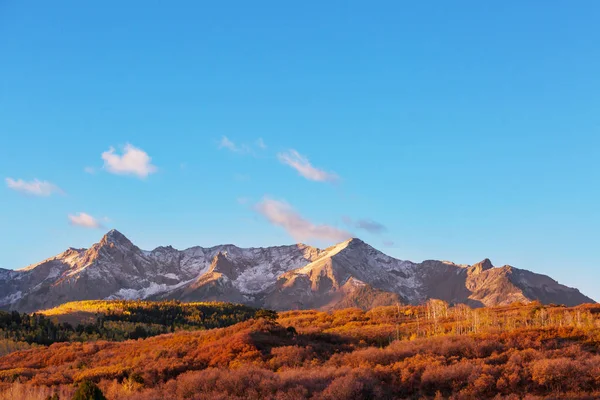 Kleurrijke Gele Herfst Colorado Verenigde Staten Herfstseizoen — Stockfoto