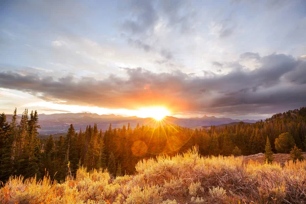 Saison Automne Colorée Montagne — Photo