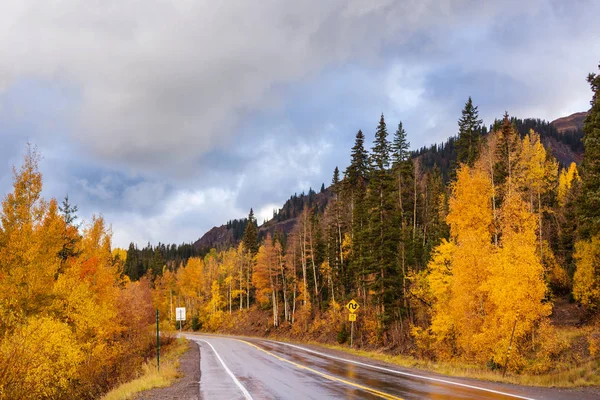 Colorida Escena Otoño Camino Del Campo Mañana Soleada — Foto de Stock