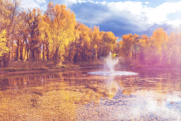 Escena Otoño Tonos Amarillos — Foto de Stock