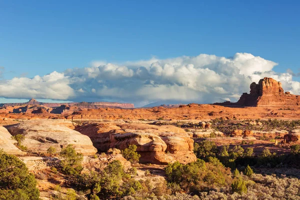 Escursione Nel Parco Nazionale Del Canyonlands Utah Stati Uniti — Foto Stock