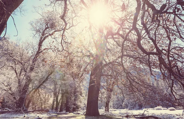 Early Winter Mountains Scenic View — Stock Photo, Image