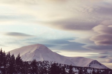 Kışın karla kaplı dağlar