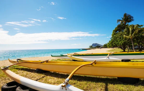 Canoë Kayak Sur Plage Hawaïenne — Photo