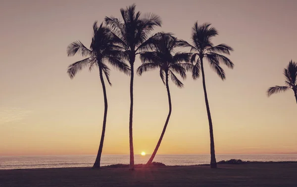 Krásná Scéna Havajském Západu Slunce — Stock fotografie