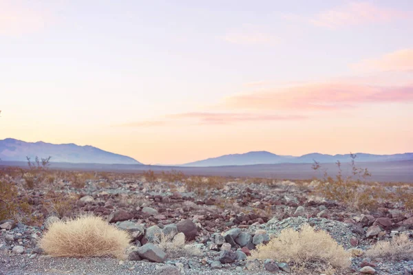 Pouštní Krajiny Státě Nevada Usa — Stock fotografie