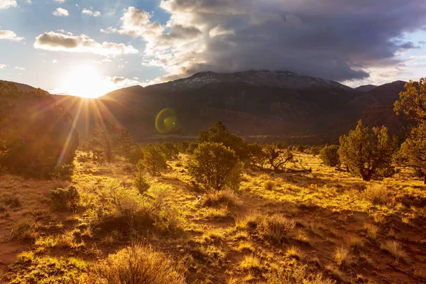 Prairie Landscapes Utah Usa — Stock Photo, Image