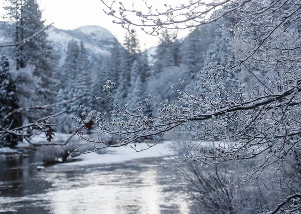 Yosemite Ulusal Parkı, Kaliforniya, ABD 'de kış mevsimi