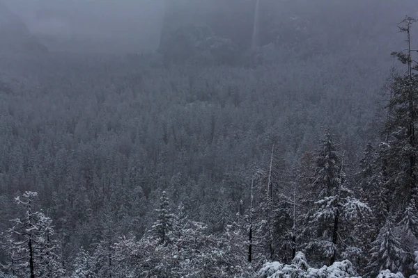 Temporada Invierno Parque Nacional Yosemite California —  Fotos de Stock