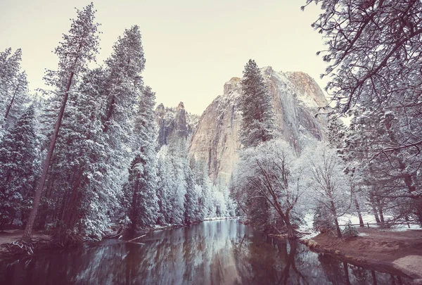 Temporada Invierno Parque Nacional Yosemite California —  Fotos de Stock