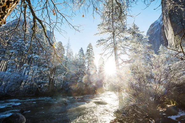 Χειμερινή Περίοδος Στο Εθνικό Πάρκο Γιοσέμιτι Καλιφόρνια Ηπα — Φωτογραφία Αρχείου