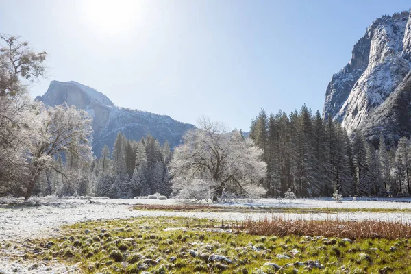 Зимний Сезон Национальном Парке Йосемити Калифорния Сша — стоковое фото