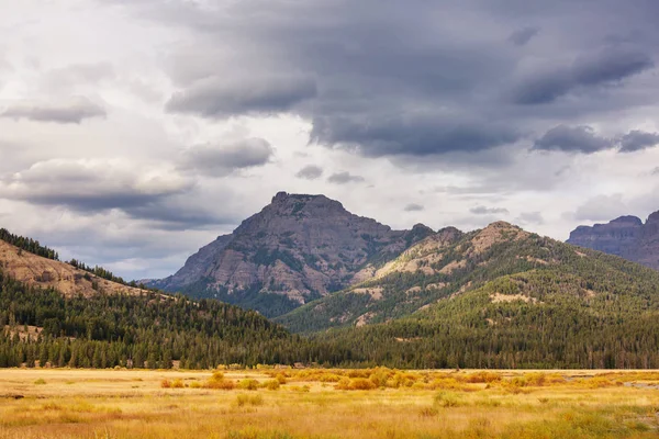 Trädpromenader Längs Gejseråkrar Yellowstone National Park Usa — Stockfoto