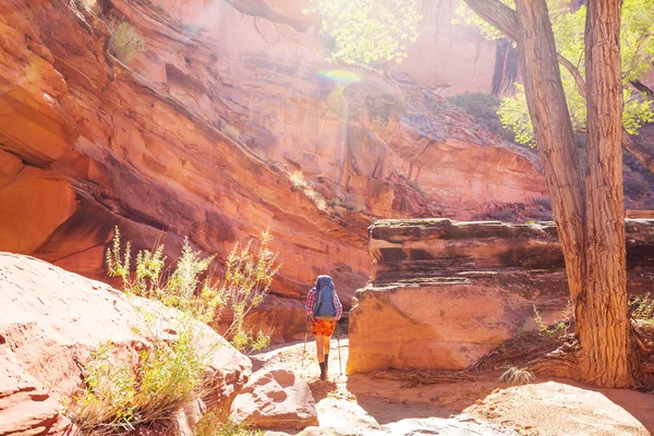 Vermillion Cliffs Vahşi Doğa Bölgesi Utah Arizona Dan Çakal Buttes — Stok fotoğraf